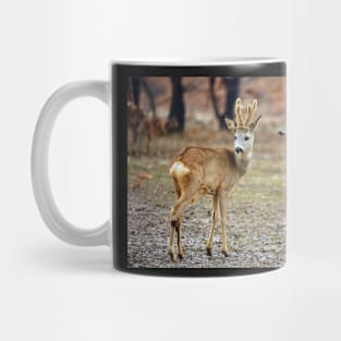 Roe deer family Mug